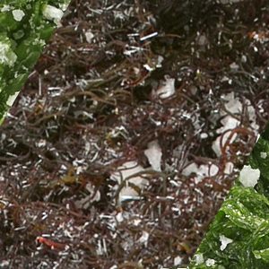 Mixtura de algas en salazón - Suralgas