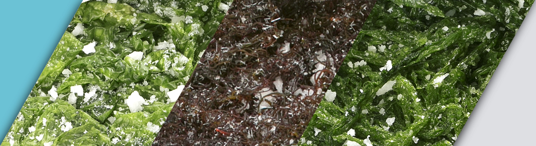 Mixtura de algas en salazón - Suralgas